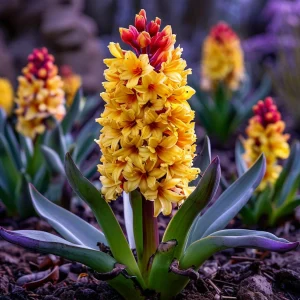 Гиацинт Миднайт Мистери купить по цене от 2099р. в интернет-магазине «Посадика» с доставкой почтой в в Чкаловске и по всей России – [изображение №1].