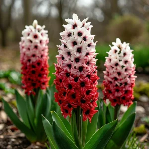 Гиацинт Скай Гарден купить по цене от 2099р. в интернет-магазине «Посадика» с доставкой почтой в в Чкаловске и по всей России – [изображение №1].